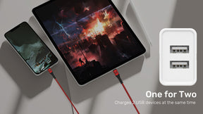Travel Cube USB Charger