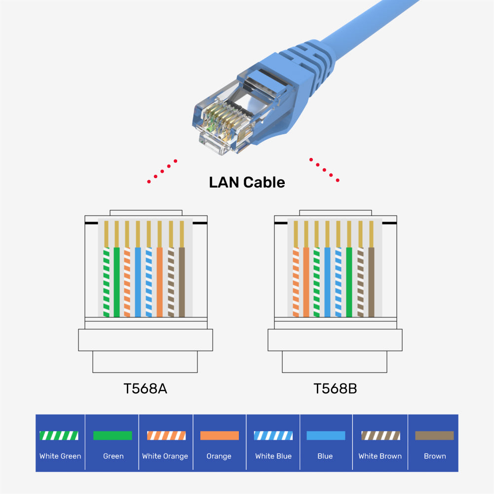 Mr. Tronic Connettori Rj45 Cat 6  100 Connettore Plug Cat 6 8P8C Plug Rj45  Cat 6 Modulare a Crimpare per Cavo Ethernet Cat 6, Cavo Connettore Ethernet  Rj45 (100 Pezzi, Cat6 STP) : : Informatica